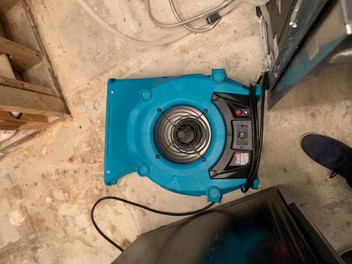 Air mover drying equipment for Mold Remediation & Removal in Salina